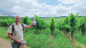 Résultat récolte de baies pour Haies vives d'Alsace par Fabien THEVENOT, dirigeant Rustyle